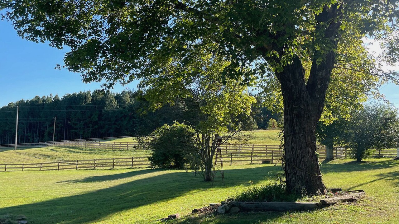 Photo of Others in Mill Spring