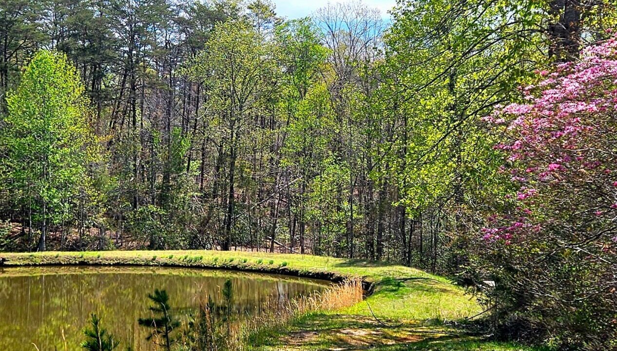 Photo of Others in Mill Spring