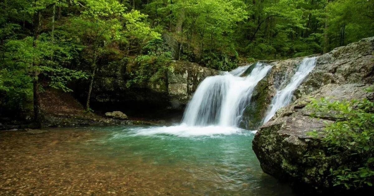 Photo of Outdoor in Jones Mills