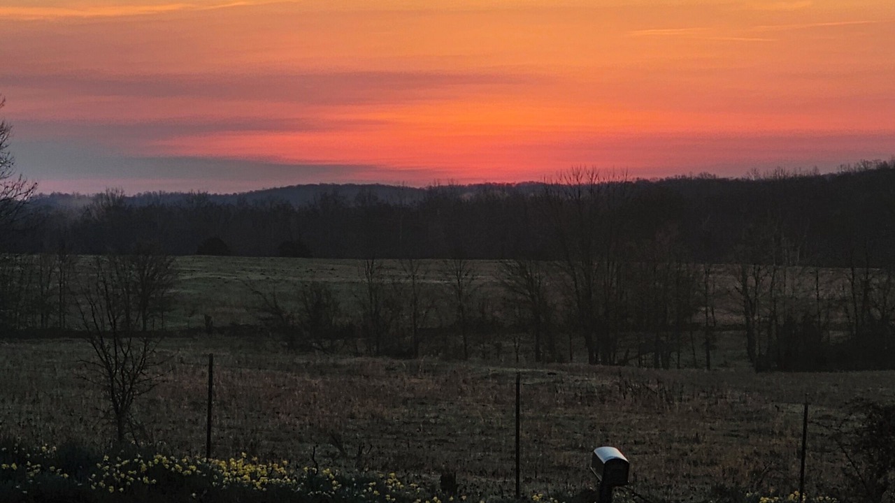 Photo of Outdoor in Doniphan