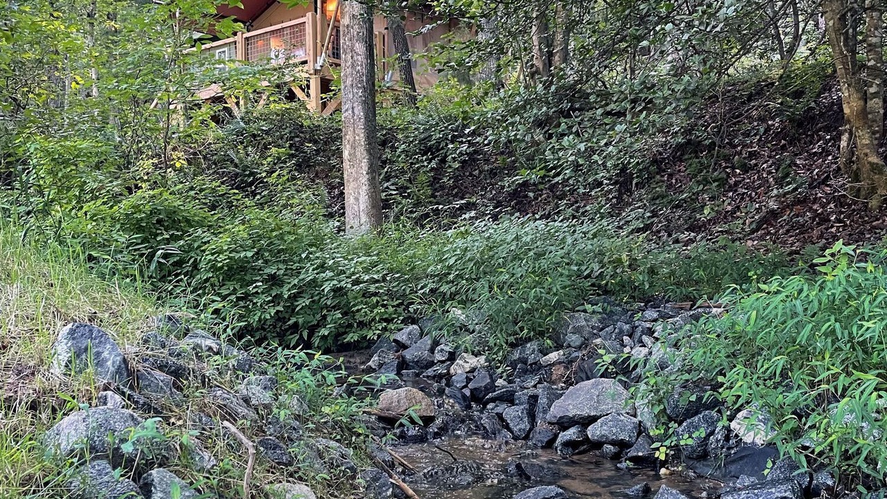 Photo of Others in Mill Spring