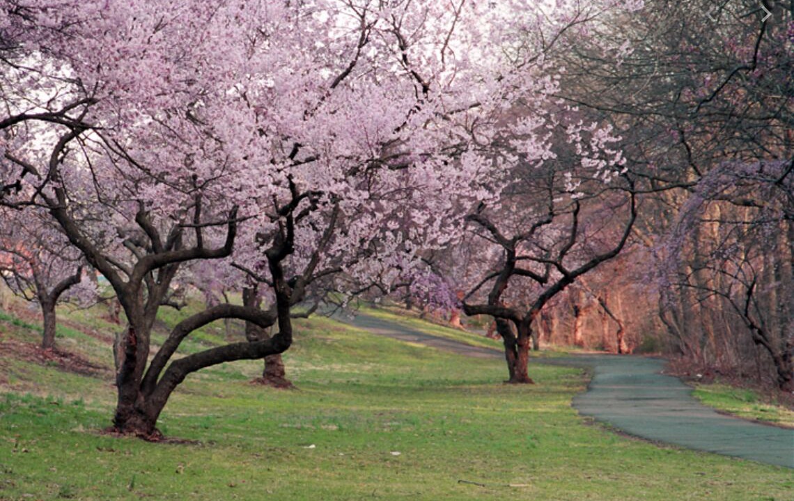 Photo of Others in Weequahic