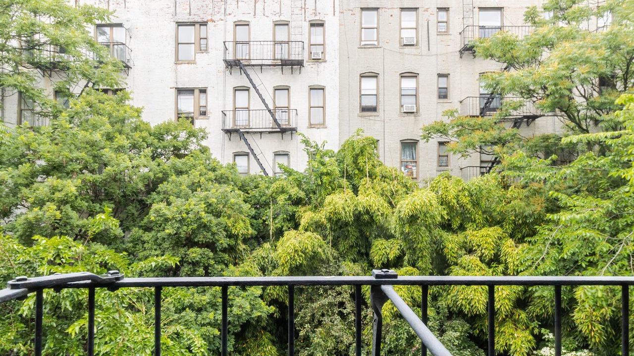 Photo of Outdoor in Williamsburg