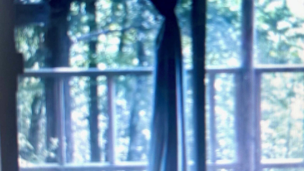 Photo of Others in Clayton