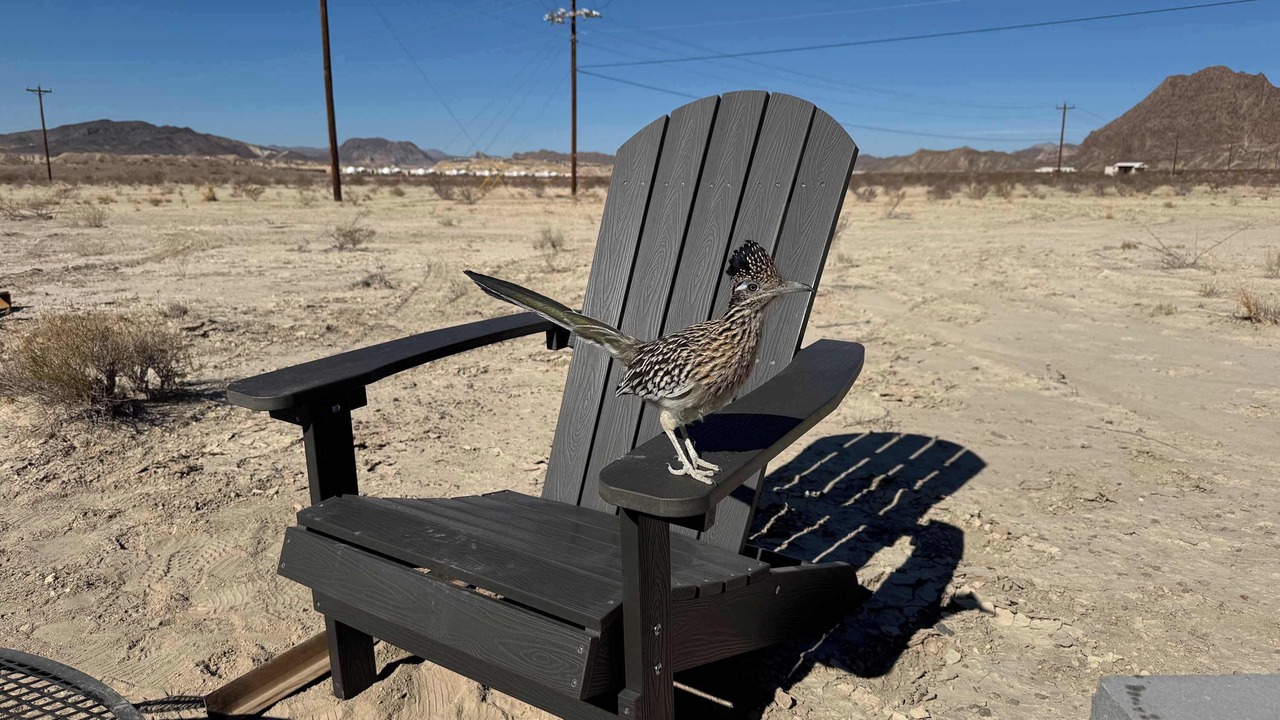 Photo of Outdoor in Study Butte-Terlingua