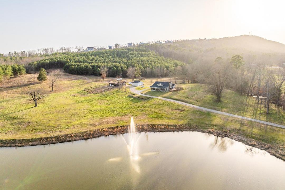Photo of Others in Lake Hamilton