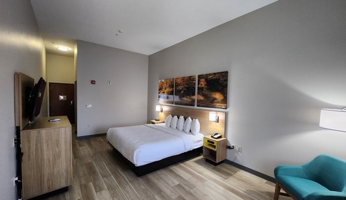 Room, 1 King Bed, Accessible, Non Smoking (Mobility/Hearing, Roll-in Shower)