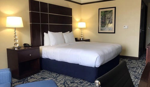King Bed Accessible Room