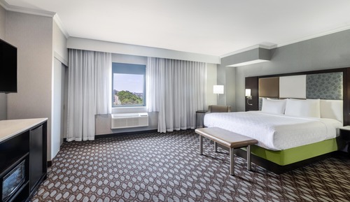Executive Room, 1 King Bed, Non Smoking, Refrigerator & Microwave (Larger Room)