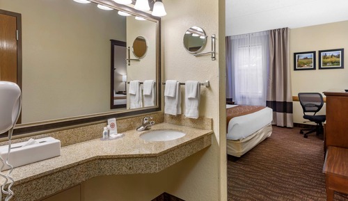 Room, 1 King Bed, Accessible, Non Smoking (Roll In Shower)