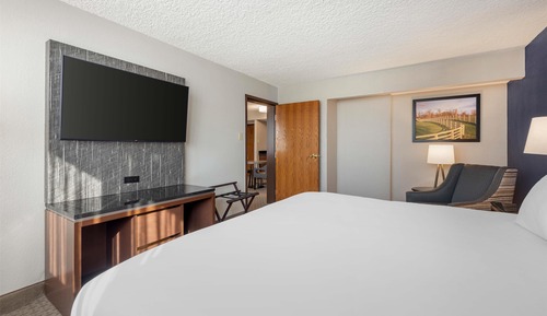 Suite, 1 King Bed with Sofa bed, Accessible (Sofa Sleeper, Tub, 2 Rooms)