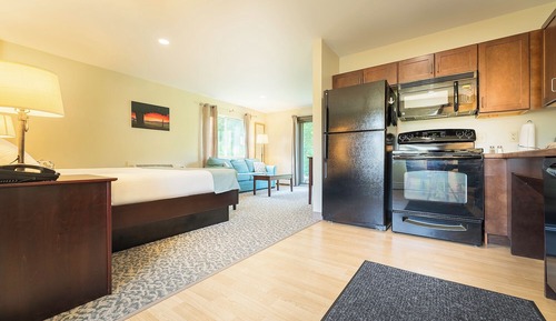 Deluxe Studio Suite, 1 King Bed with Sofa bed, Mobility Accessible