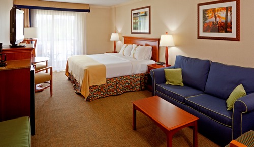Premium Room, 1 King Bed with Sofa bed, Pool View