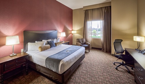 Executive Suite, 1 King Bed, Non Smoking (Hearing Access, Roll-In Shower)