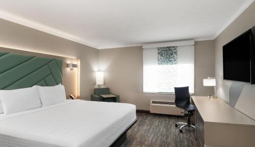King Room - Non-Smoking