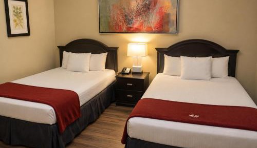 2 Queen Beds Accessible Non-Smoking with Roll-In-Shower