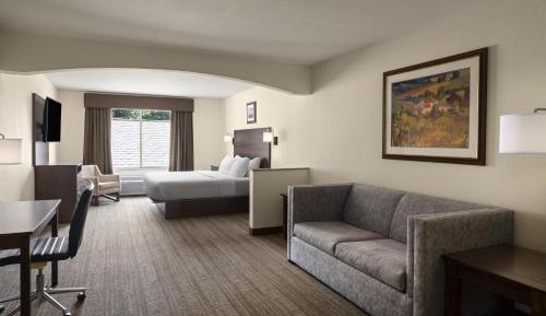 King Suite with Sofa Bed