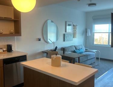 One-Bedroom King Suite with Sofa Bed 
