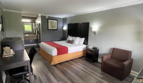 King Room - Non-Smoking