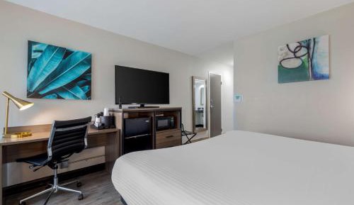 King Room - Non-Smoking
